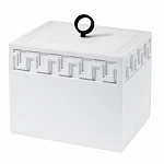 Контейнер Avanti Gramercy 11х9х11 белый