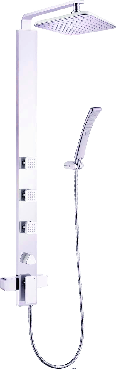 

Душевая панель Weltwasser WW DP 20150 WT хром/белая, Белый, WW DP 20150 WT