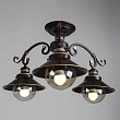 Потолочная люстра Arte Lamp 7 A4577PL-3CK - превью 2