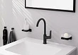 Смеситель для раковины Hansgrohe Logis 71130670 черный матовый - превью 1