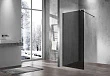 Душевая перегородка Vincea Walk-In VSW-1H120CGGM, 120х200, вороненая сталь, стекло тонированное - превью 2