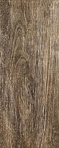 Керамогранит Легенда коричневый 20,1х50,2 (SG410100N)