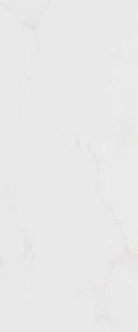 Плитка Forza Calacatta White Wall 01 25х60