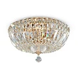 Люстра Maytoni Basfor DIA100-CL-03-G - превью 1