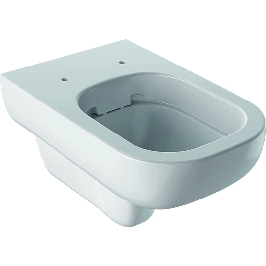 Чаша для унитаза подвесного Geberit Smyle 500.210.01.1 Rimfree