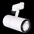 Трековый светильник Reluce 06720-9.3-001QY LED20W WT - превью 2