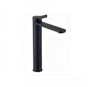 Смеситель Webert Coral CO830402560 для раковины, черный матовый