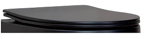 Крышка-сиденье Ceramicanova для унитаза CN3001MB/11001MB_HU2511YH с микролифтом, черный матовый