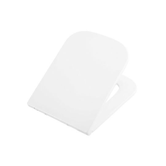 Крышка-сиденье BelBagno Ardente-R BB2322SC с микролифтом