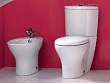 Биде напольное Jacob Delafon Presquile E1348 - превью 2