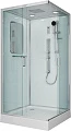 Душевая кабина Niagara Premium NG-6002-01GQ 100х100х210 - превью 1