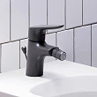Смеситель для биде Damixa Jupiter 770240300 черный - превью 1