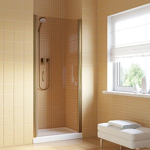 Душевая дверь в нишу Vegas-glass  EP LUX 95 05 05 R