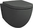 Крышка-сиденье ArtCeram File 2.0 FLA002 grigio oliva, с микролифтом, петли хром - превью 1