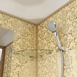 Душевая кабина Niagara Luxe NG-7702DG 100x100x210 - превью 1