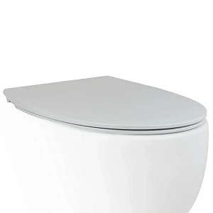 Крышка-сиденье AeT Dot 2.0 C555R101 с микролифтом, белый матовый