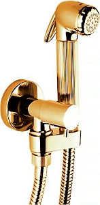 Гигиенический душ Bossini Nikita E57002 золото