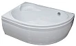 Акриловая ванна Royal Bath Alpine RB819102 170x100x58 см L - превью 1