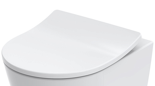 Крышка-сиденье Toto RP TC613G с микролифтом