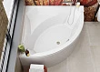 Акриловая ванна Vagnerplast Veronela corner 140x140 см VPBA140VEA3X-04 - превью 1