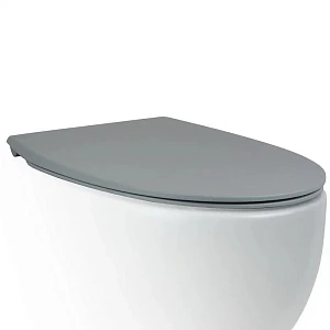 Крышка-сиденье AeT Dot 2.0 C555R116 с микролифтом, серый матовый
