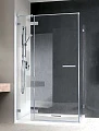 Душевой уголок Radaway Euphoria KDJ 110 L - превью 1