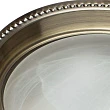 Потолочный светильник Arte Lamp 16 A1305PL-2AB - превью 1