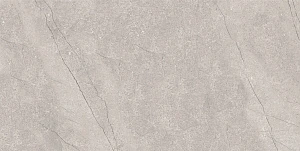 Плитка керамогранитная Azario FOSSIL GREY 60х120 Matt (E4040821120M)
