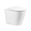 Унитаз приставной BelBagno Flay-R BB1003CBR