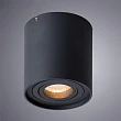 Потолочный светильник Arte Lamp Falcon A5645PL-1BK - превью 1