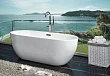 Акриловая ванна Aquanet Delight 170x78 - превью 2