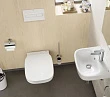Унитаз подвесной Roca Debba 346997000 - превью 2