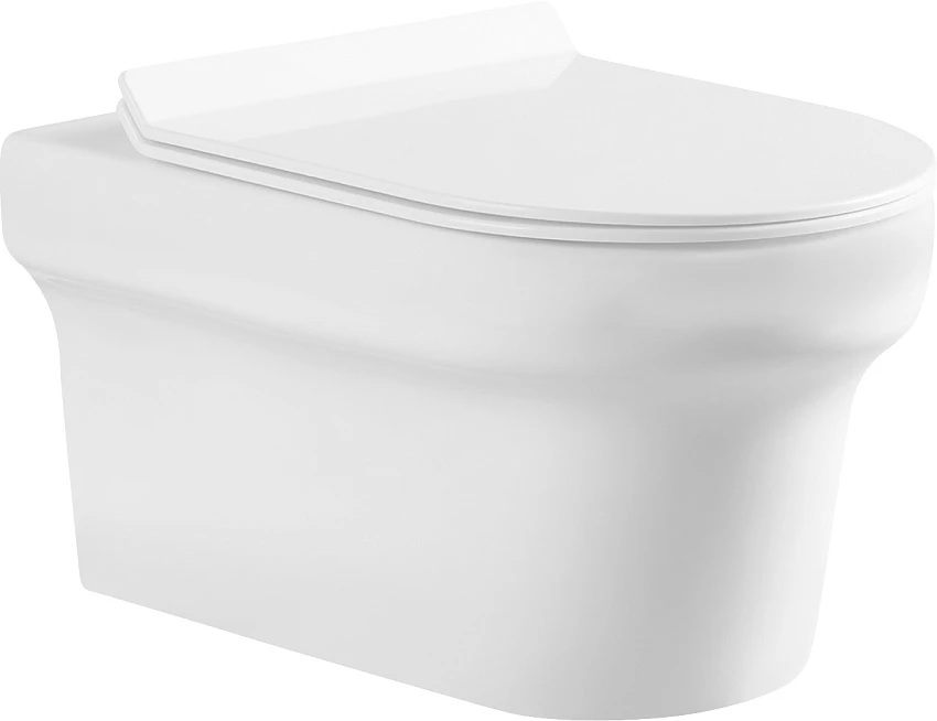 Унитаз подвесной Aquanet Nova BL-101N-WHT
