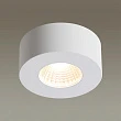 Потолочный светодиодный светильник Odeon Light Bene 4282/7CL - превью 1