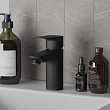 Смеситель Paini Viva Style P4YO205 для раковины черный - превью 2