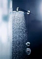 Верхний душ Hansgrohe Raindance Royale AIR 28420000 - превью 1