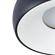 Потолочный светильник Arte Lamp Heze A6665PL-1BK - превью 1
