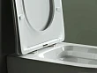 Крышка-сиденье Ceramicanova для унитазов CN1801-B/1802-B/3001/3003_U198 с микролифтом - превью 1
