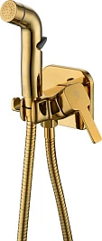 Гигиенический душ Rush Capri CA1435-99G золото