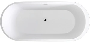 Акриловая ванна Black&White Swan SB109