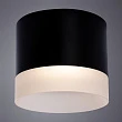 Потолочный светильник Arte Lamp Castor A5554PL-1BK - превью 1