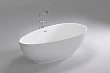 Акриловая ванна Black&White Swan SB106 - превью 2