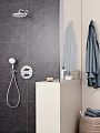 Верхний душ Grohe Tempesta 26412000 - превью 1