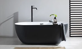 Акриловая ванна Aquanet Delight 170x78 черный матовый