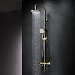 Душевая стойка Am.Pm X-Joy F0785A599 золото - превью 1