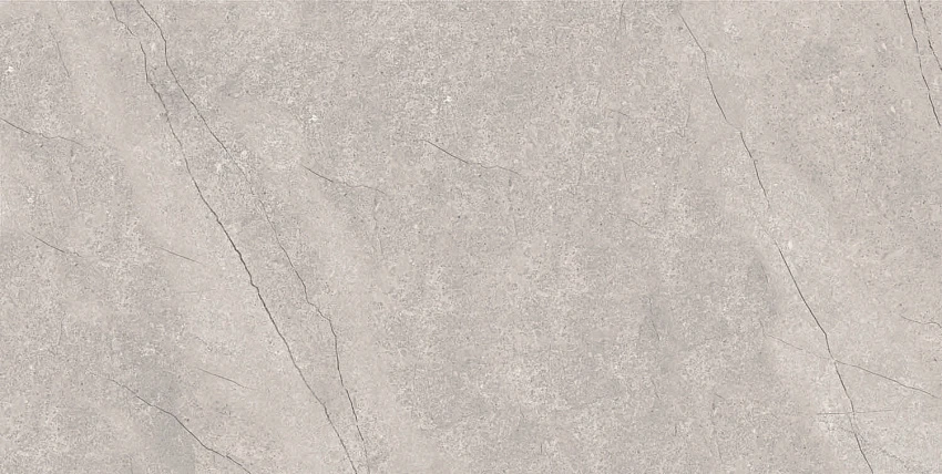 Плитка керамогранитная Azario FOSSIL GREY 60х120 Matt (E4040821120M)