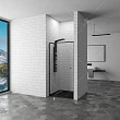 Душевая дверь в нишу RGW Passage PA-02B NEW 120x185 профиль черный, стекло прозрачное - превью 1