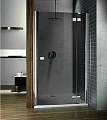 Душевая дверь в нишу Radaway Almatea DWJ 120 стекло графит R - превью 1