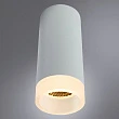 Потолочный светильник Arte Lamp Ogma A5556PL-1WH - превью 1