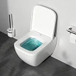 Унитаз подвесной Am.Pm Gem C901701SC безободковый, с микролифтом - превью 1